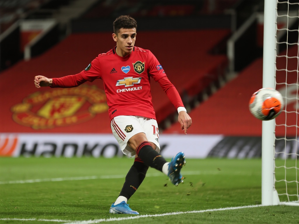 并非单纯的 并非单纯的