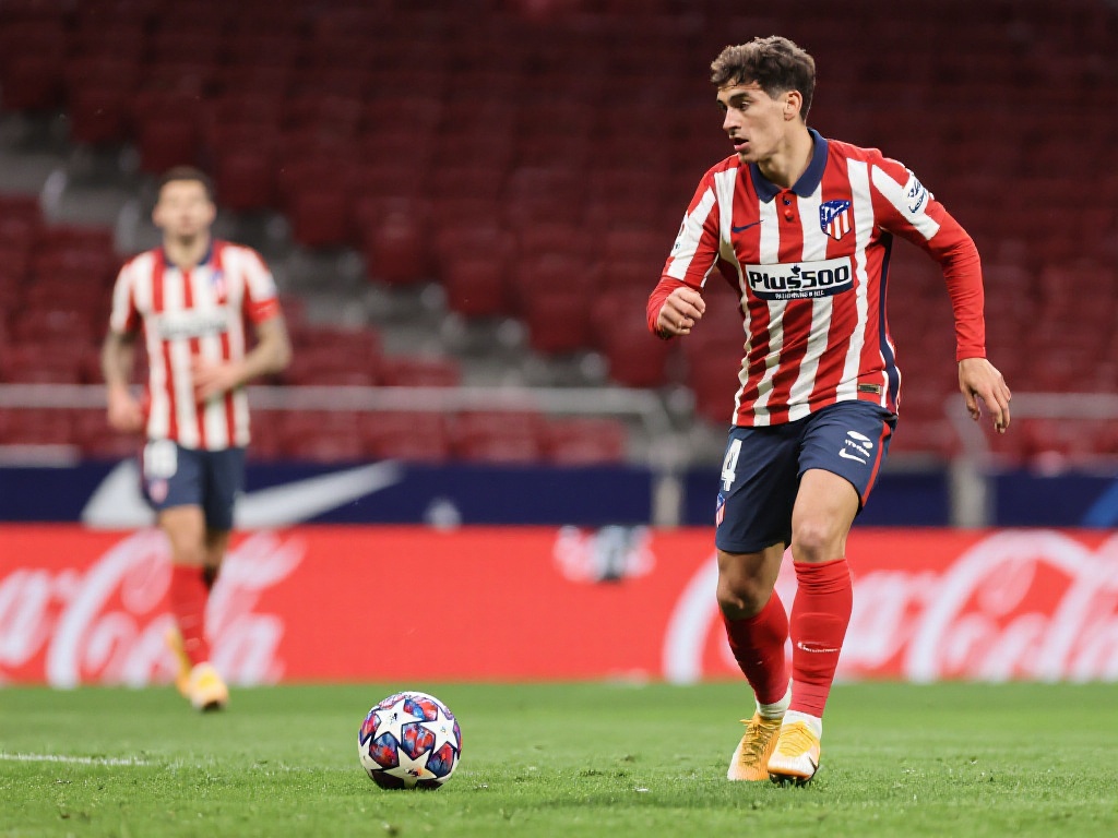 新足协主席 新足协主席